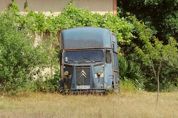 citroen de collection pièce détachée